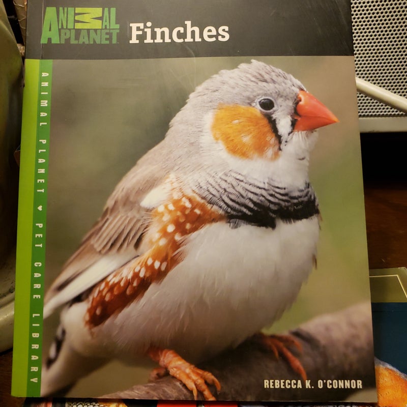 Finches