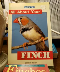 All about Your Finch