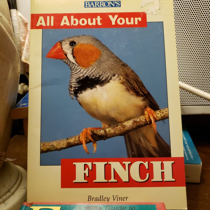 All about Your Finch