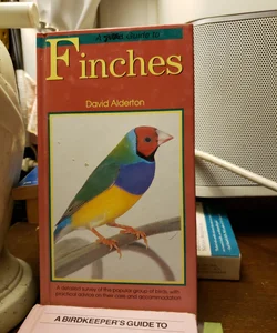 A Pet Love Guide to Finches