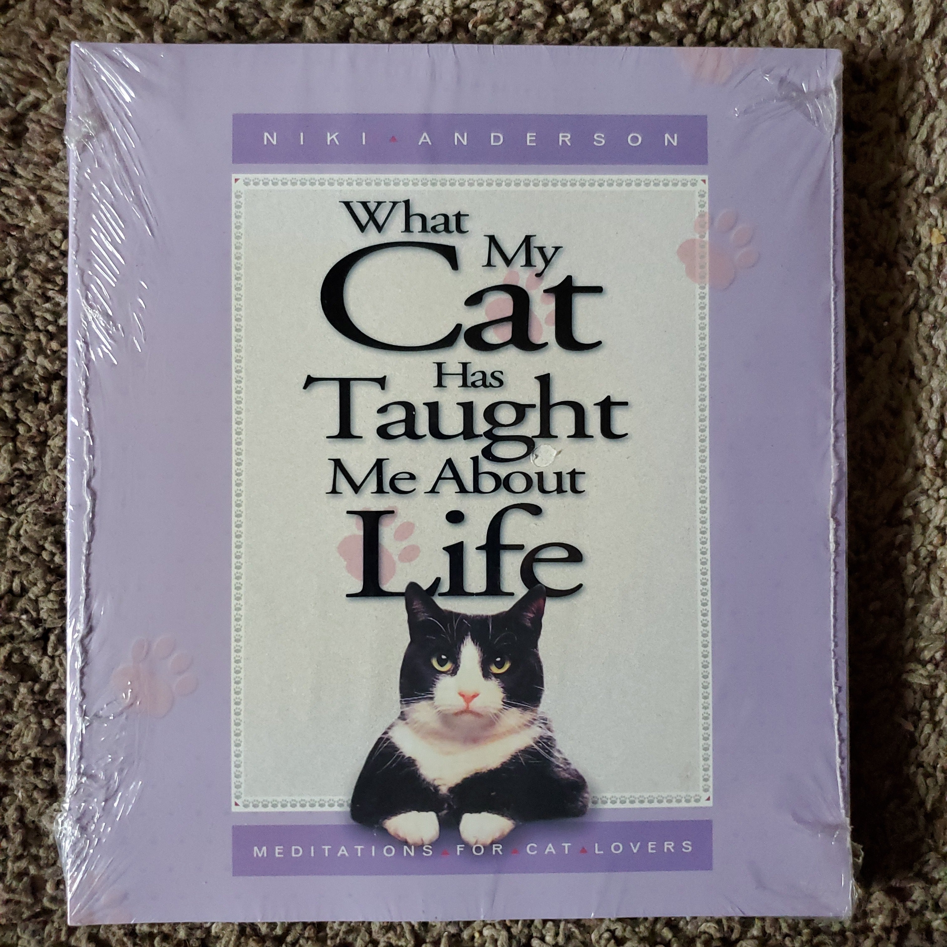 What My Cat Has Taught Me about Life