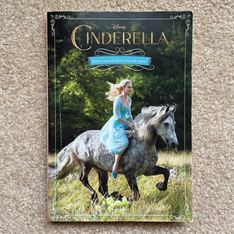 Cinderella Junior Novel