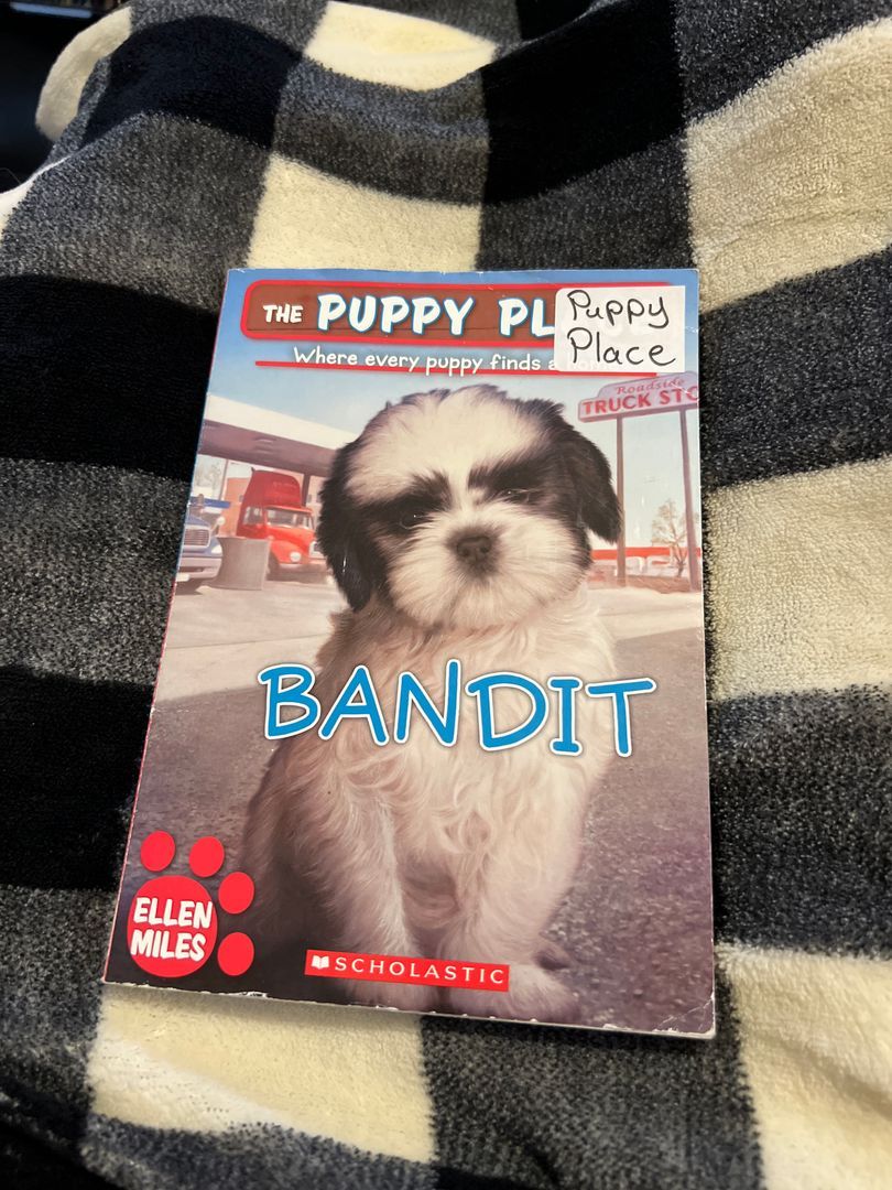 Bandit