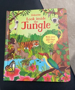 Look inside the Jungle