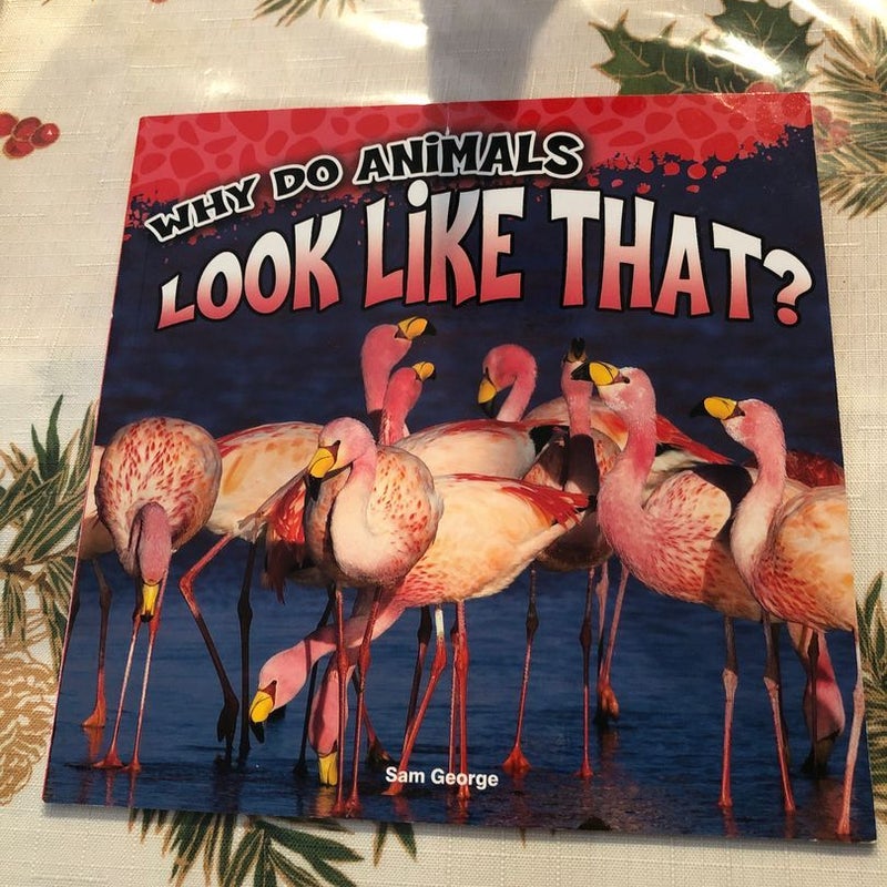 Why Do Animals Look Like That?