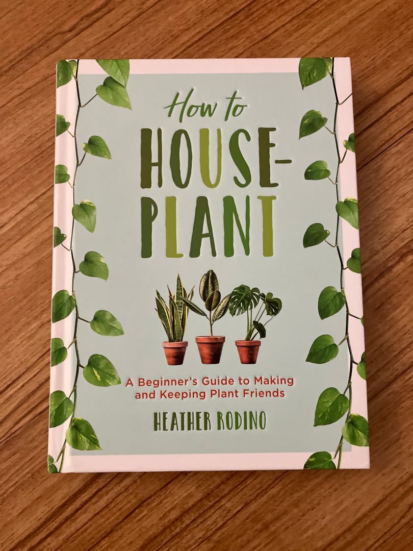 How to Houseplant