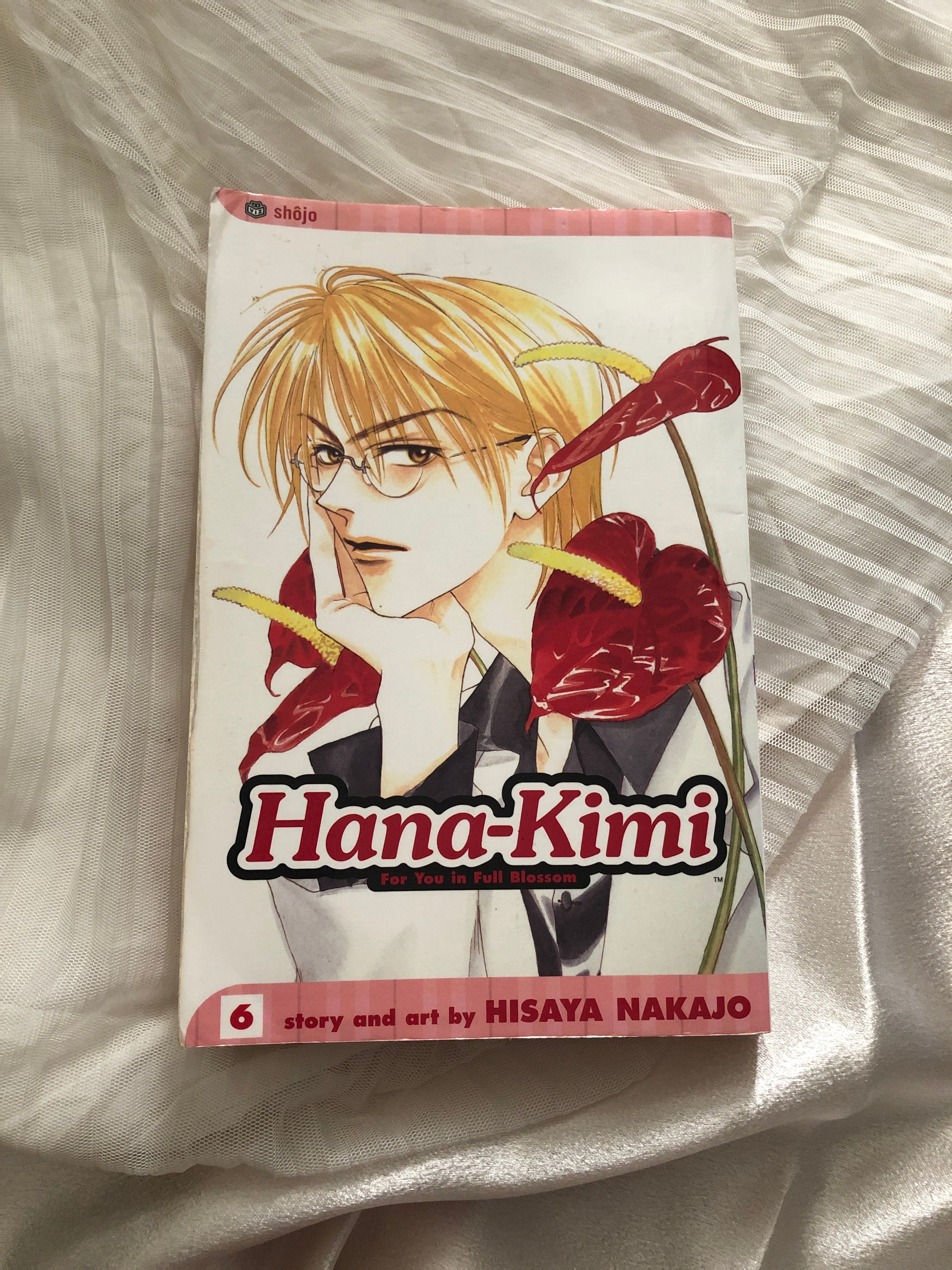 Hana-Kimi, Vol. 6