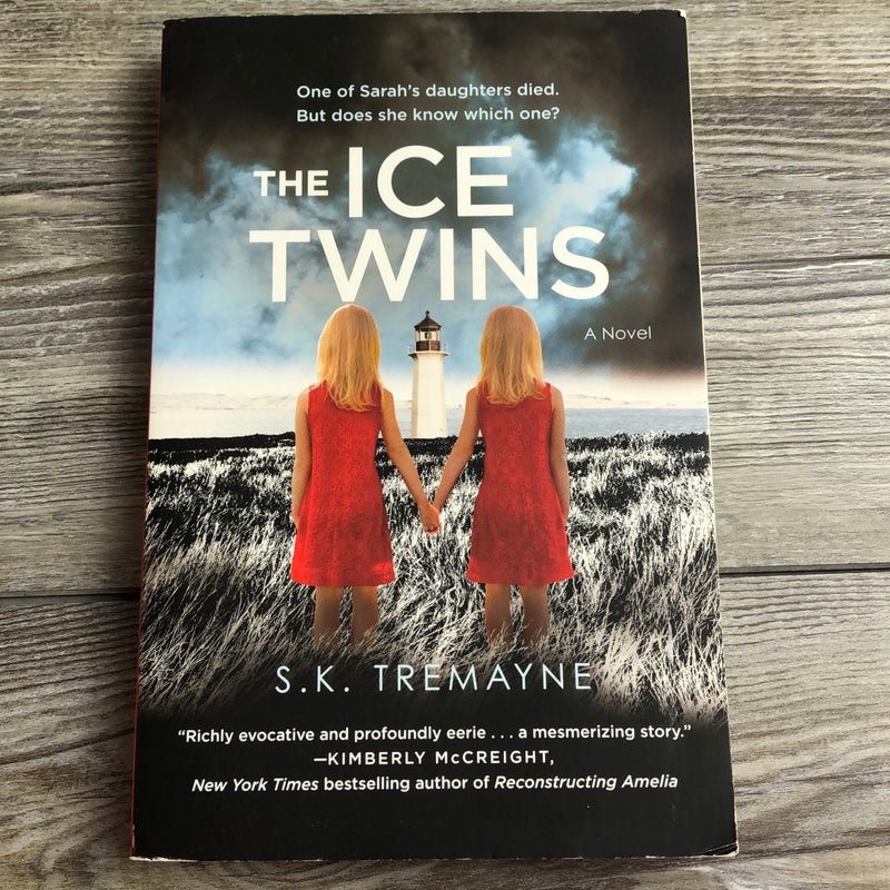 The Ice Twins