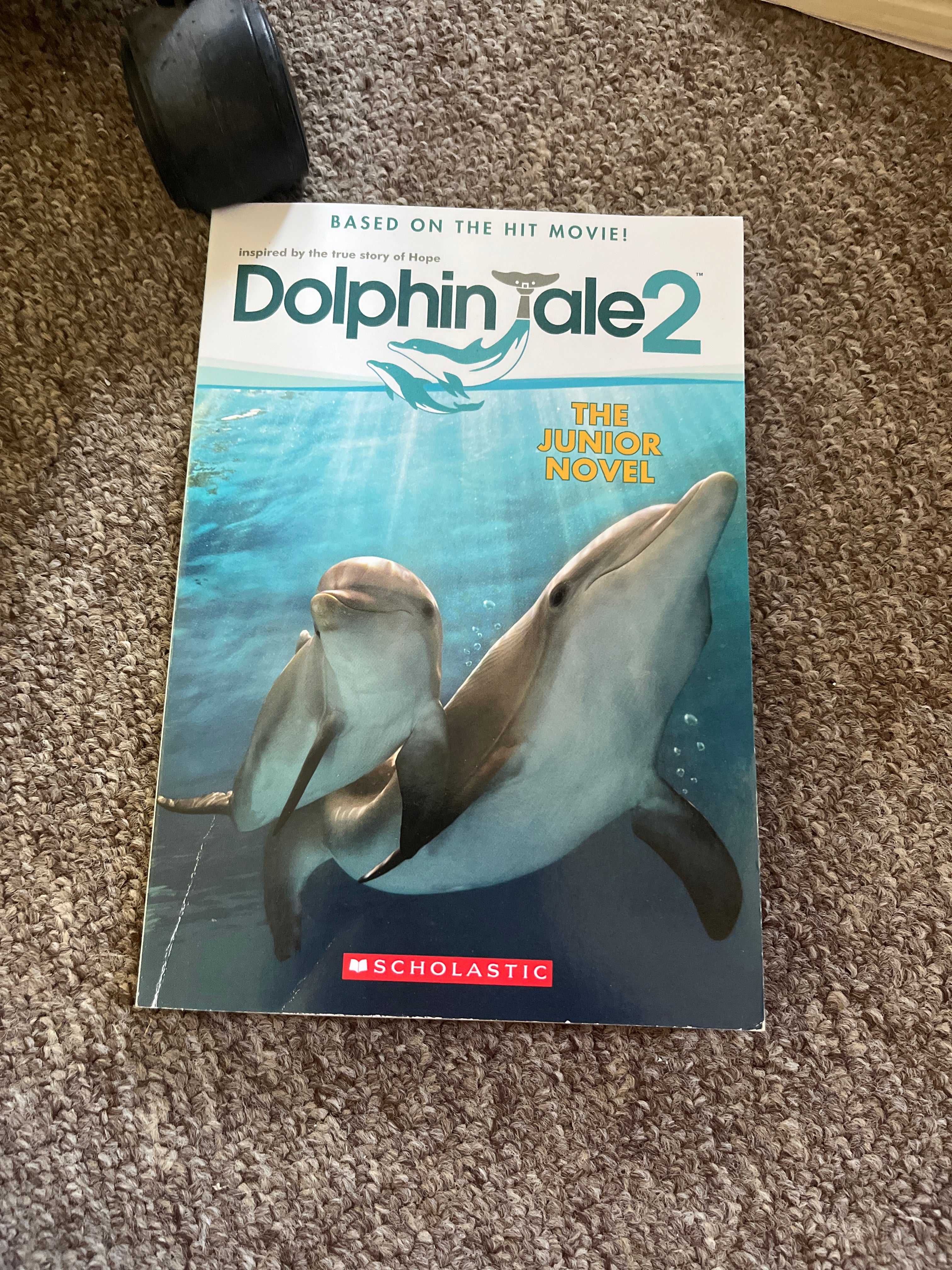 Dolphin Tale 2