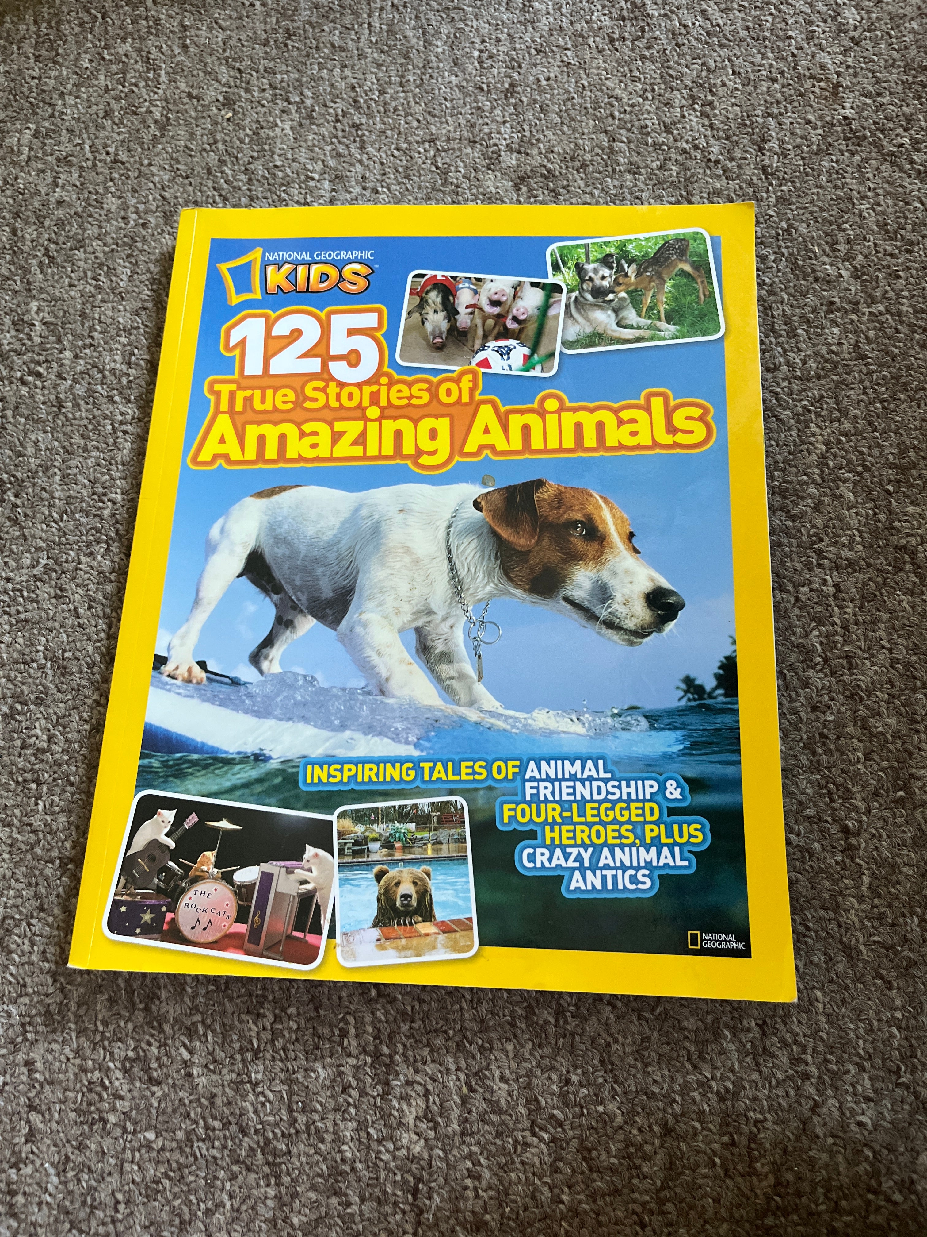 125 True Stories of Amazing Animals