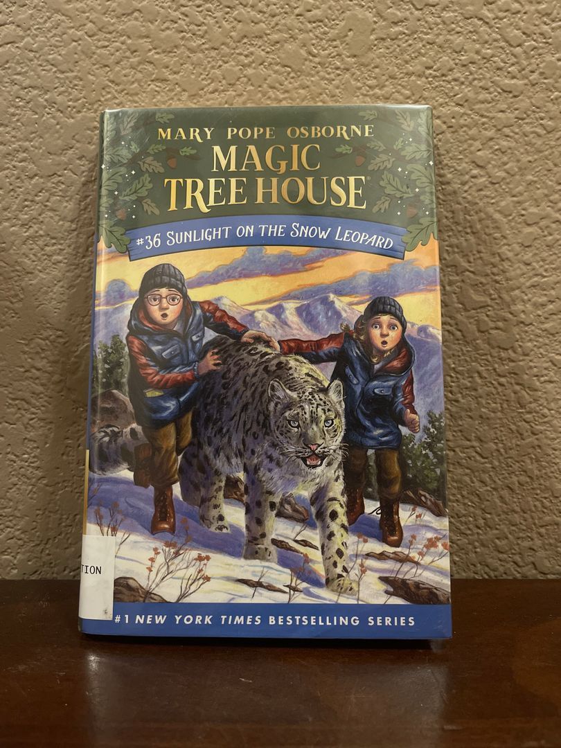 Sunlight on the Snow Leopard