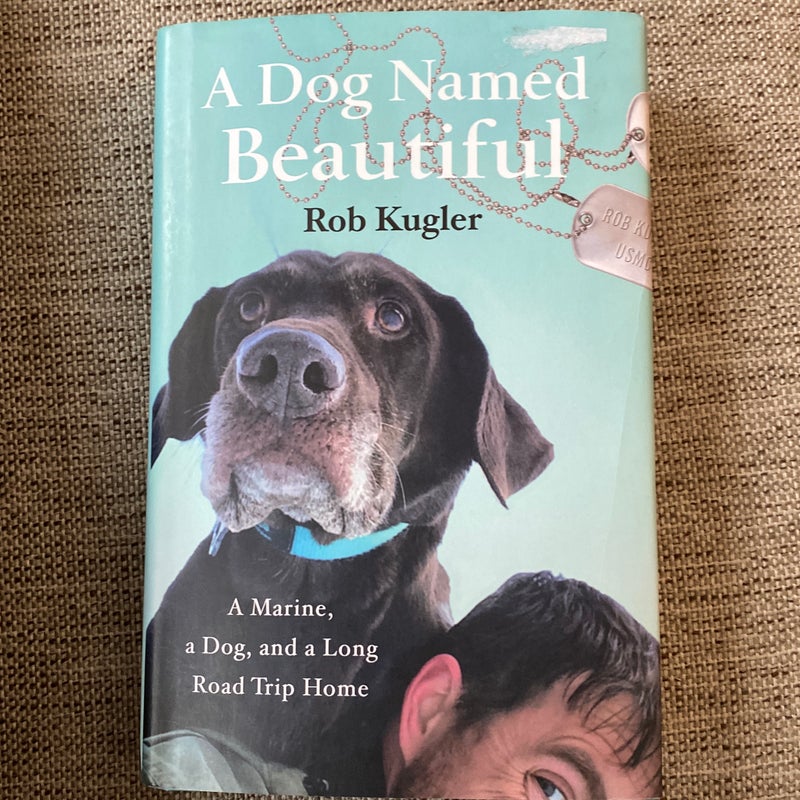A Dog Named Beautiful