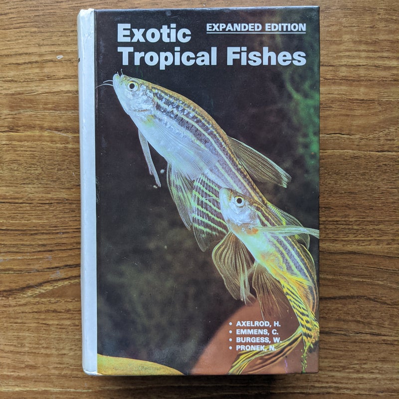 Exotic Tropical Fishes