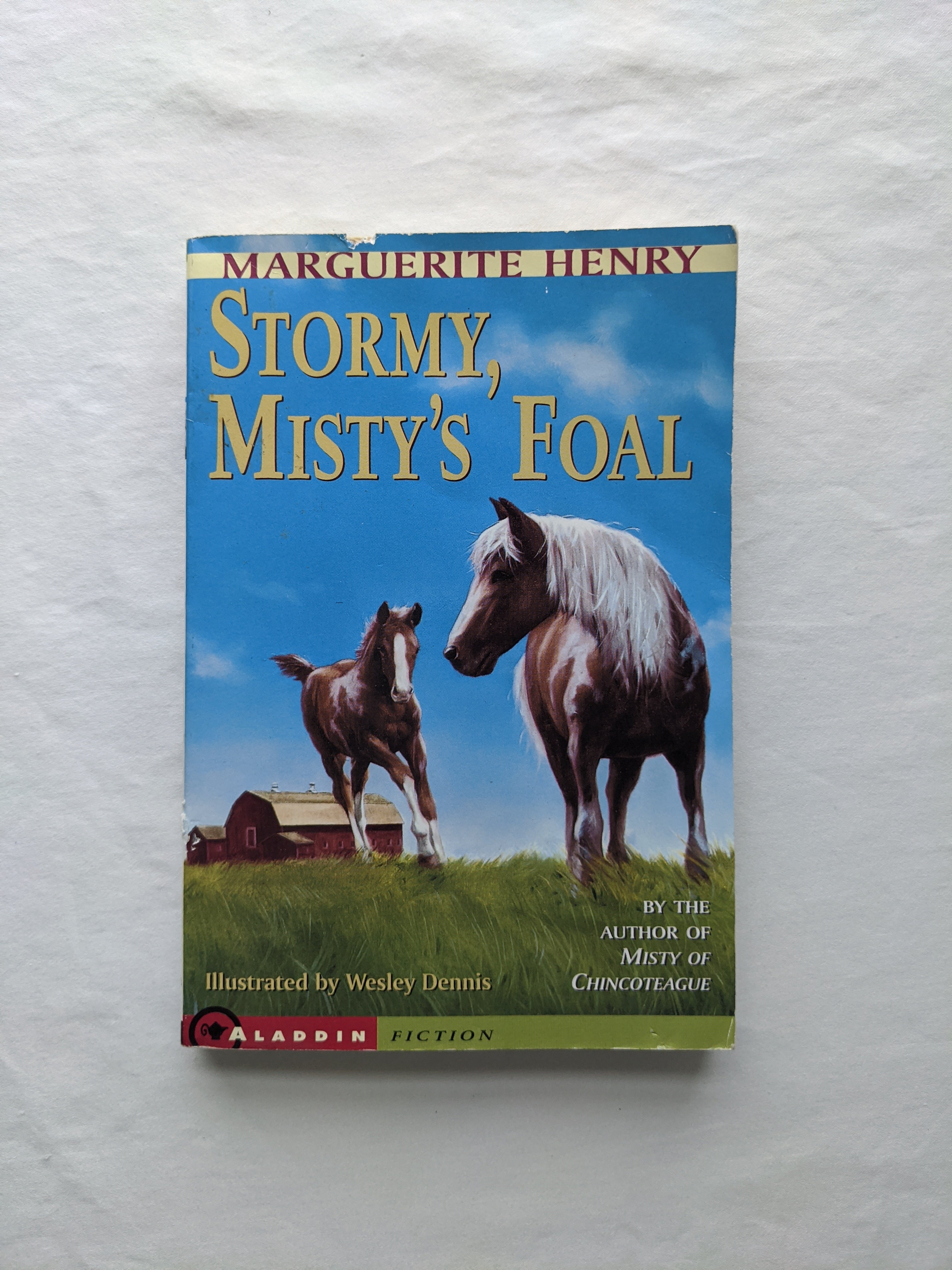 Stormy, Misty's Foal