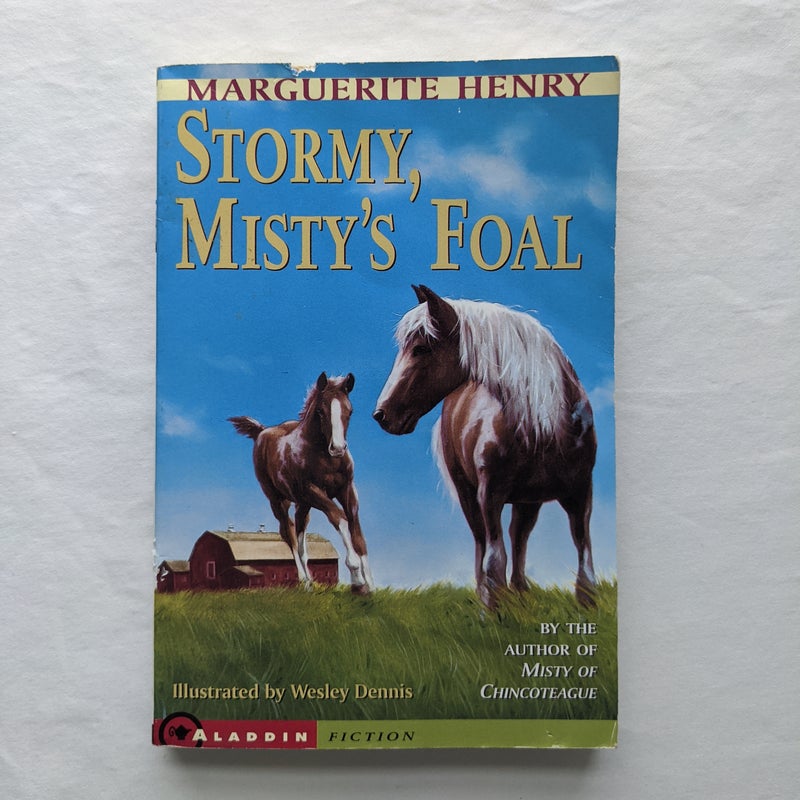 Stormy, Misty's Foal