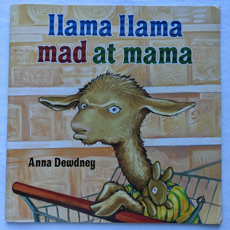 Children's Scholastic Storybook Bundle 