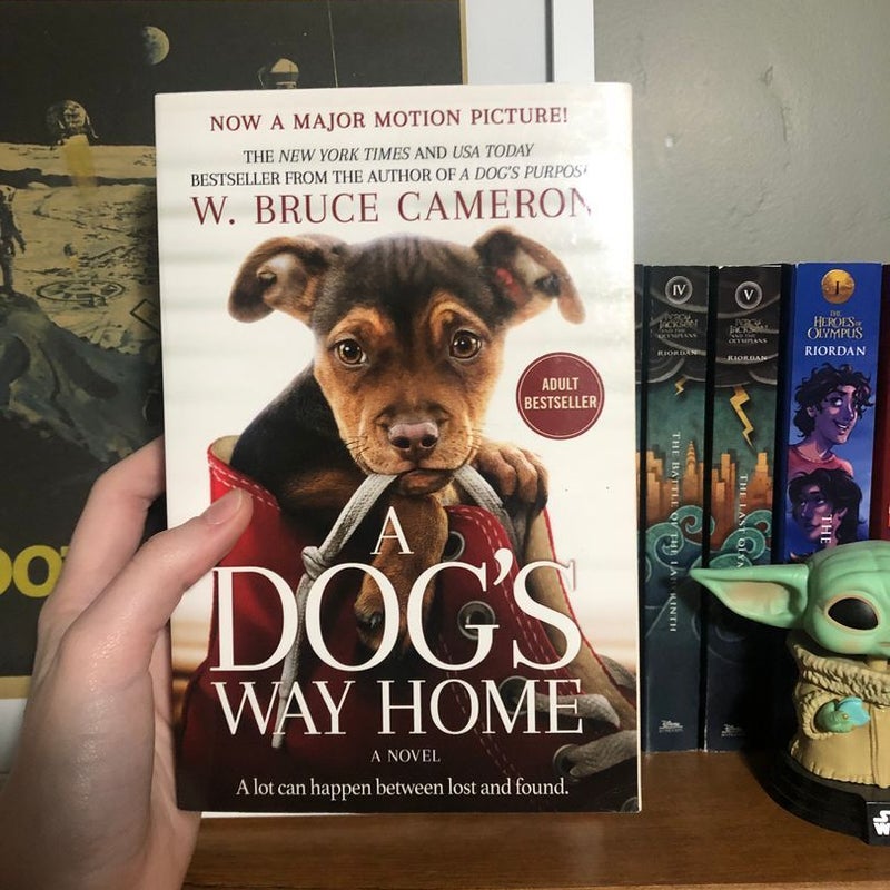 A Dog’s Way Home