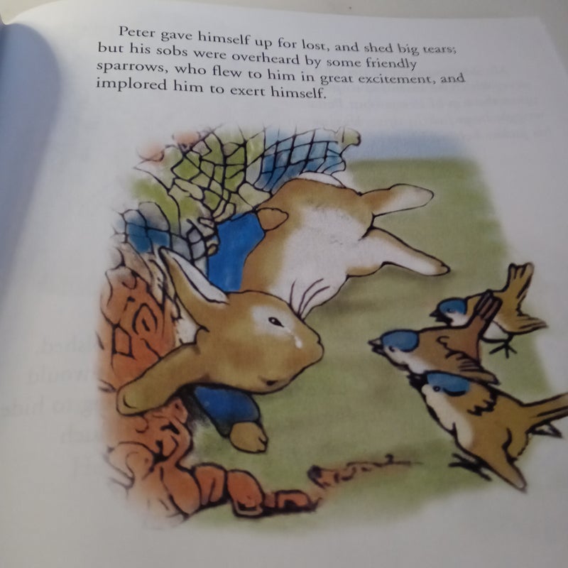 The Tale of Peter Rabbit