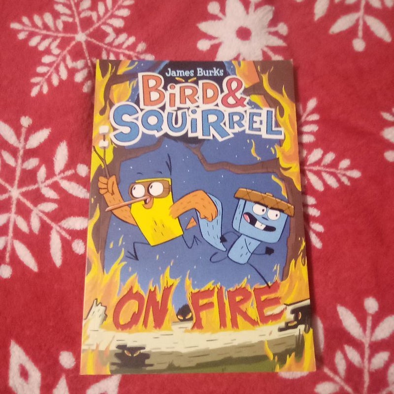 Bird and Squirrel on Fire