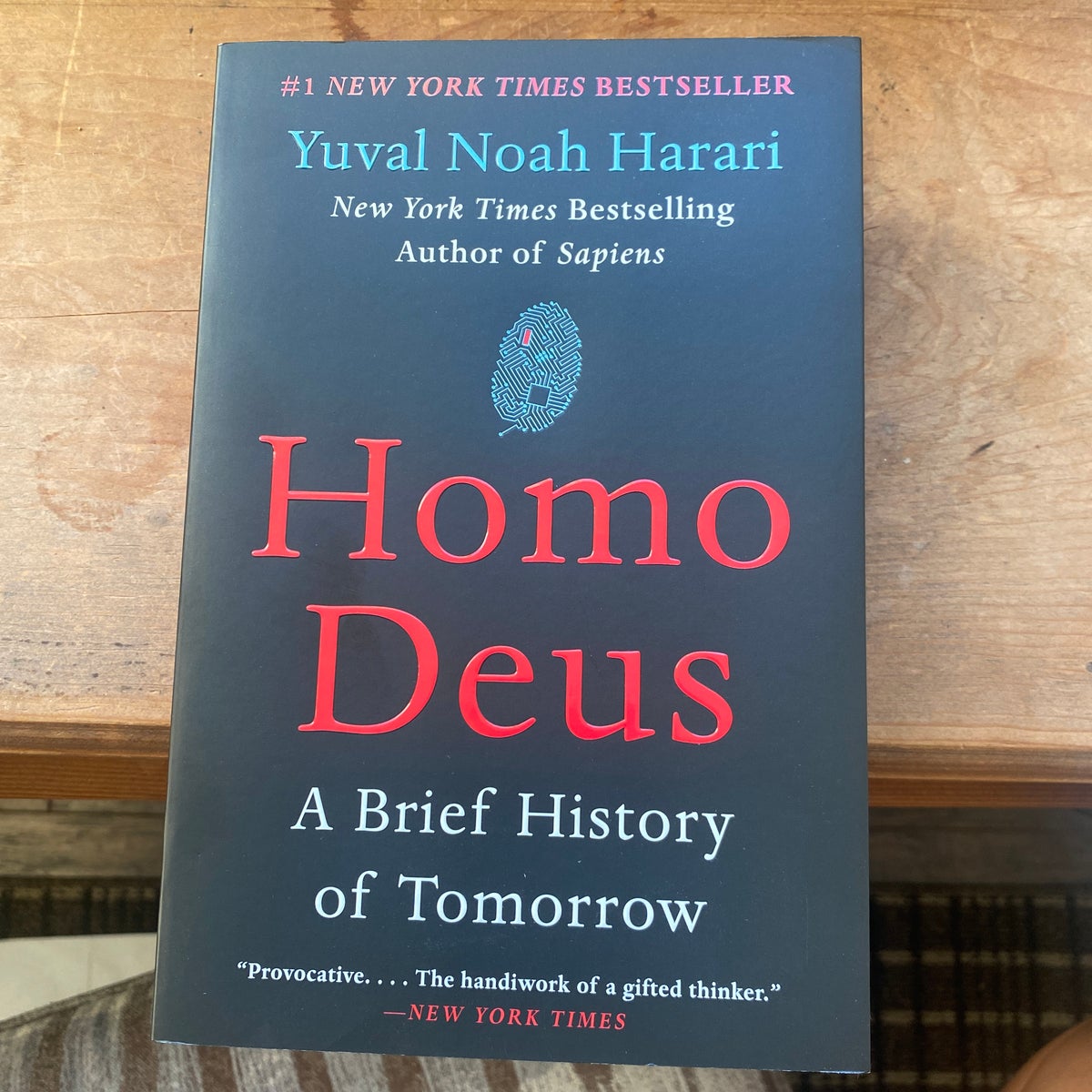 Homo Deus by _