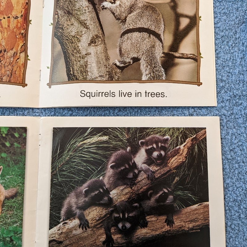 Who Lives in a Tree and Animal Babies