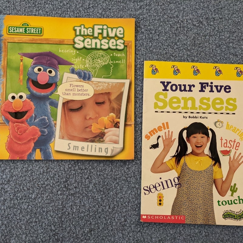 The Five Senses 