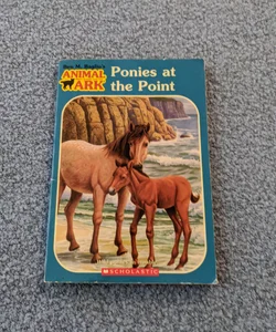 Ponies at the Point