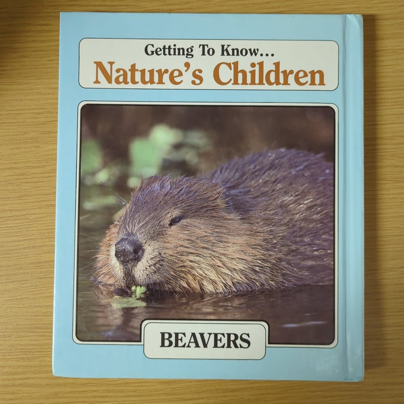 Getting to Know Chipmunks and Beavers