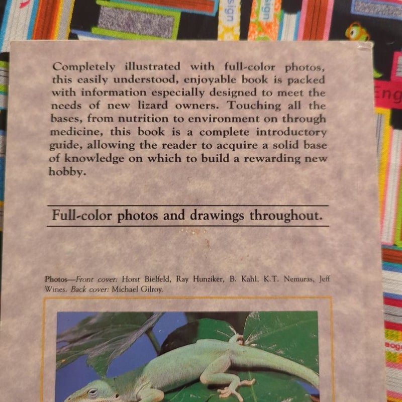 A Step by Step Book about Lizards