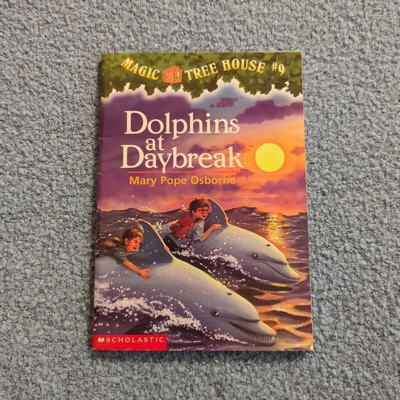 Dolphins at Daybreak 