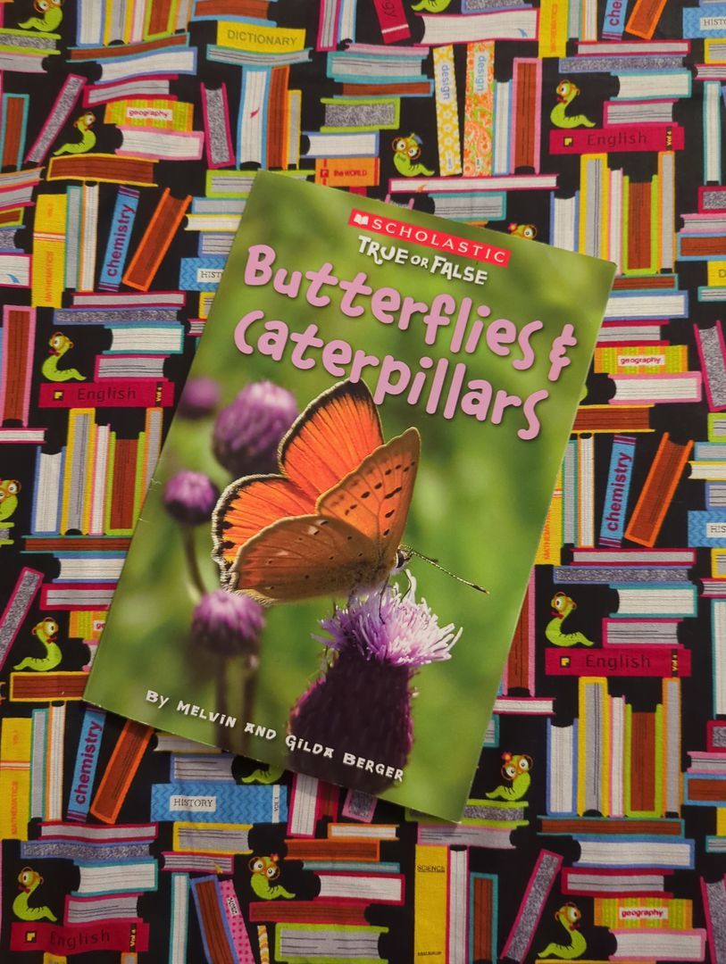 Butterflies and Caterpillars