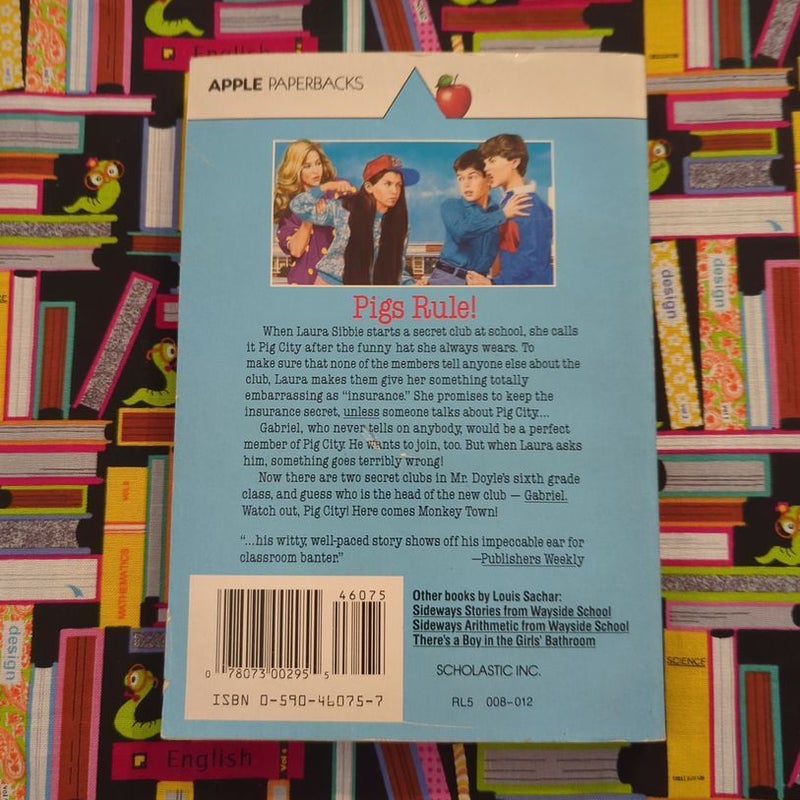 Sixth Grade Secrets visual data 4