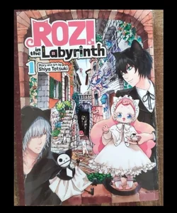Rozi in the Labyrinth Vol. 1