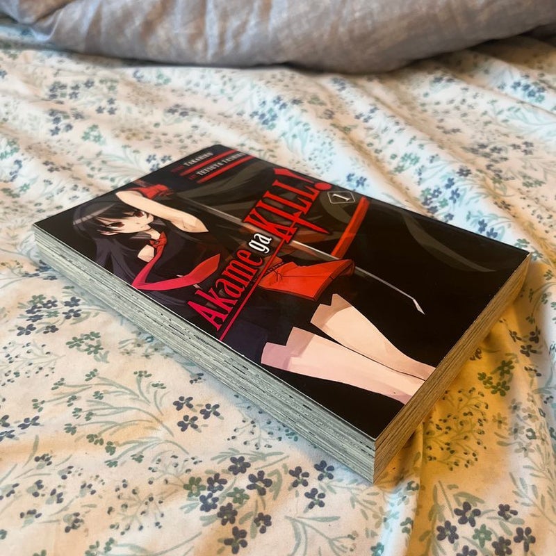 Akame Ga KILL!, Vol. 1