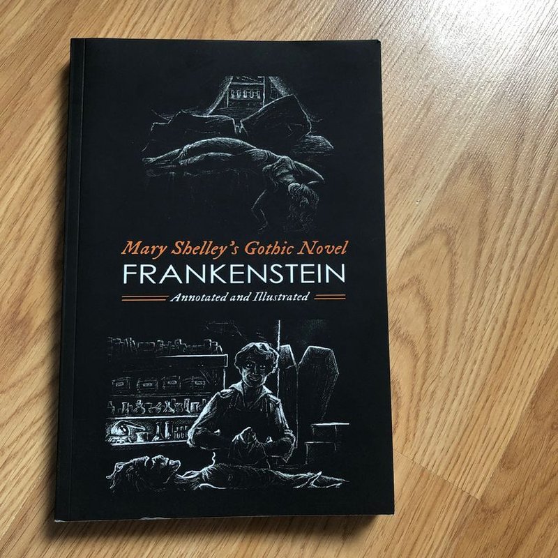 Mary Shelley S Frankenstein Annotated And Illustrated By Mary Shelley