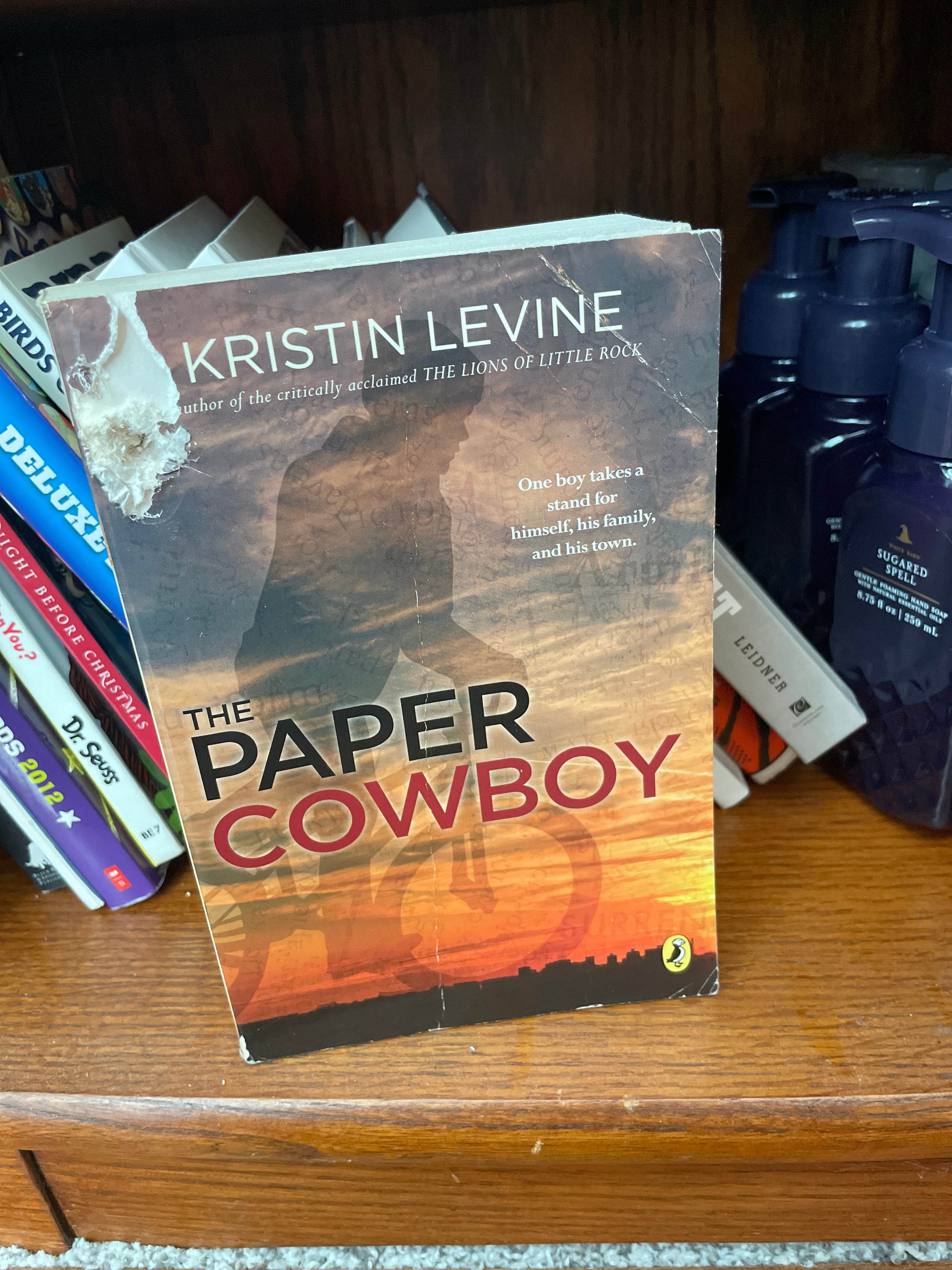 The Paper Cowboy