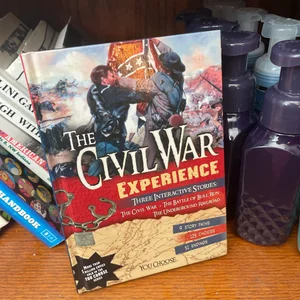 The Civil War Experience