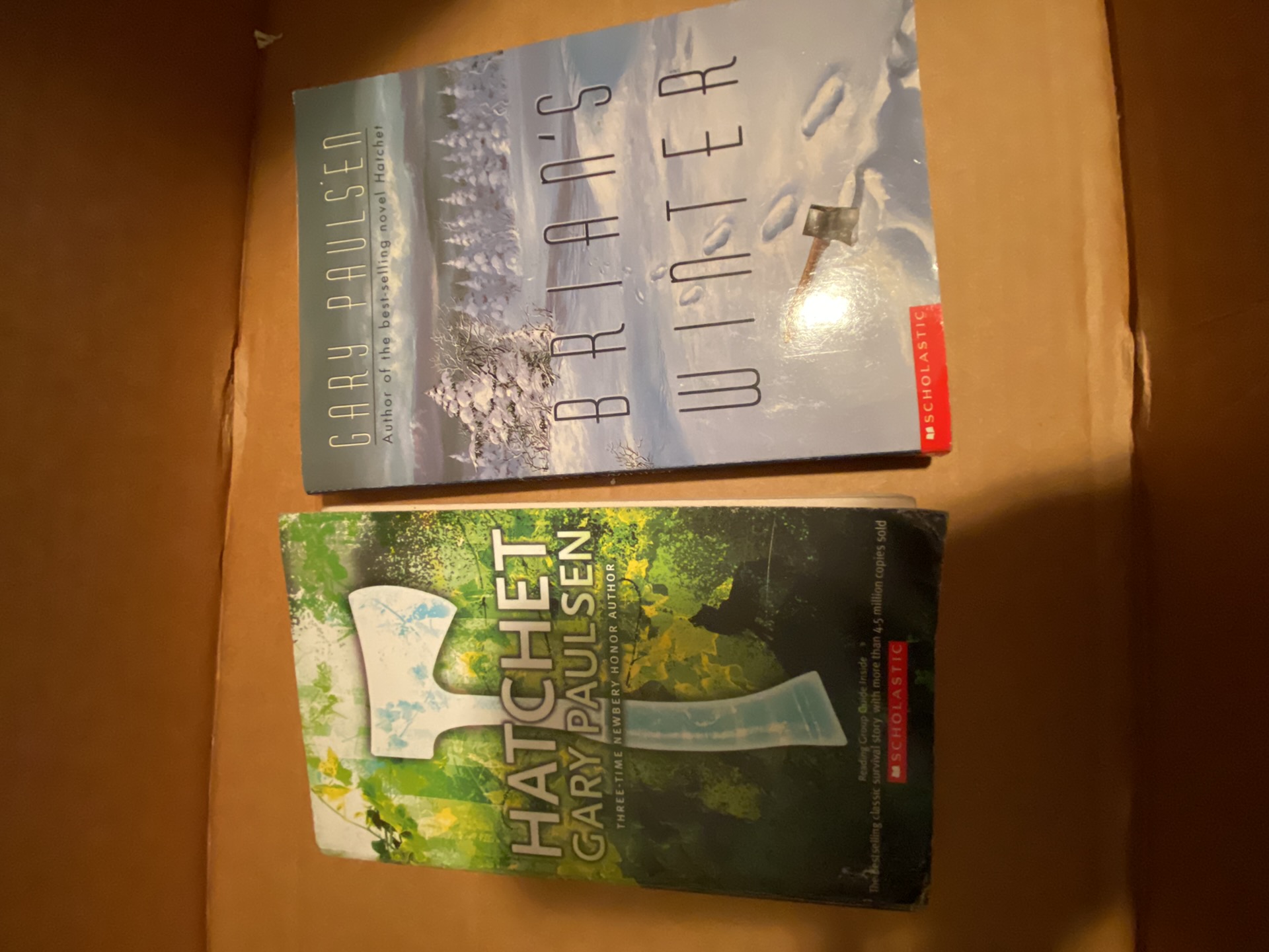 Hatchet & Brian’s Winter