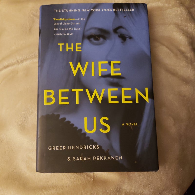 The Wife Between Us