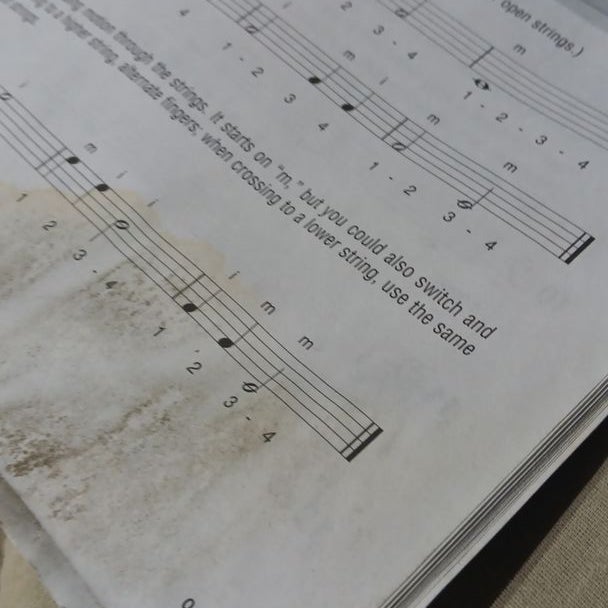 Hal Leonard Bass Method Beginner's Pack [DVD/CD/Book]