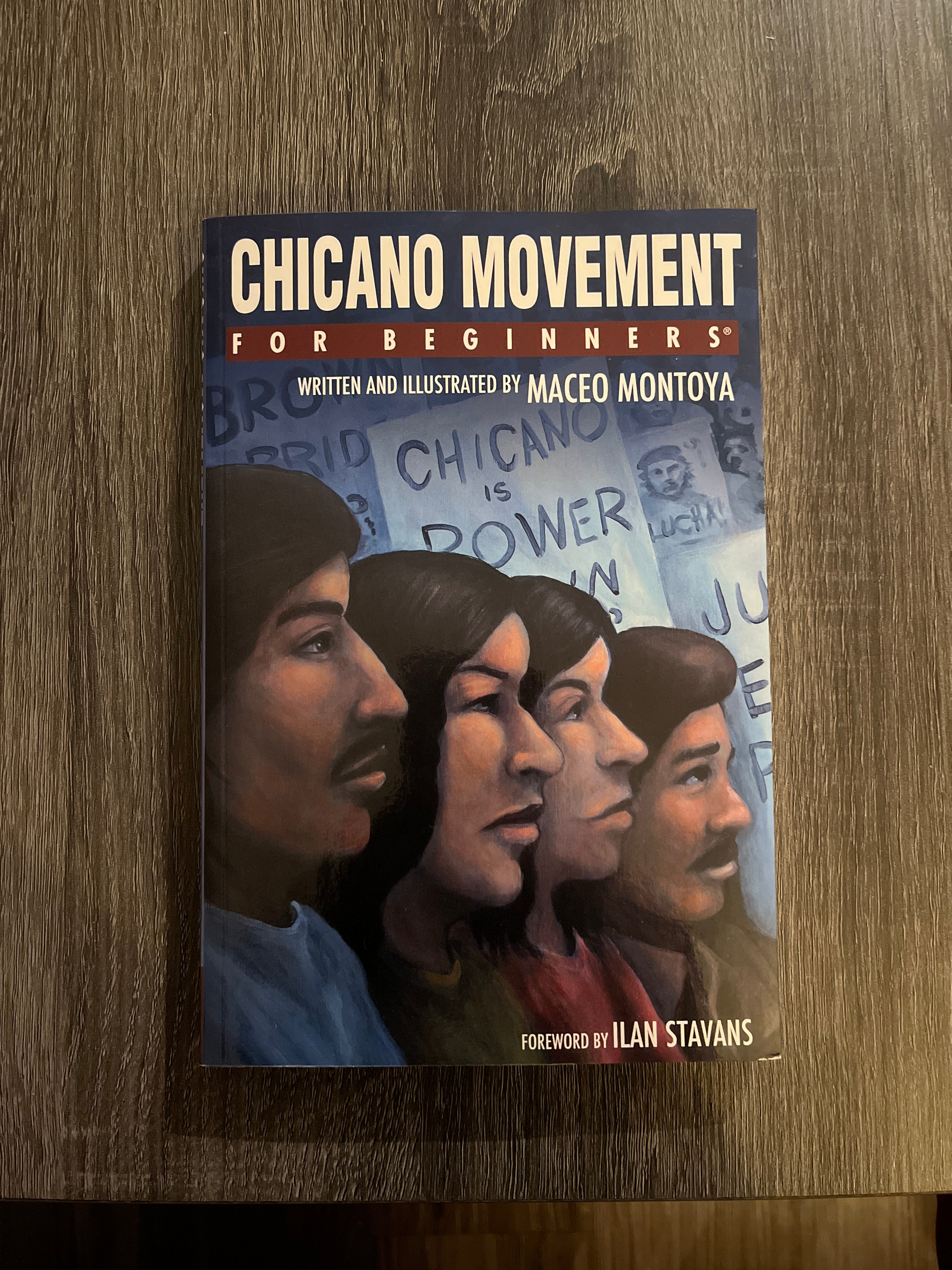 Chicano Movement for Beginners