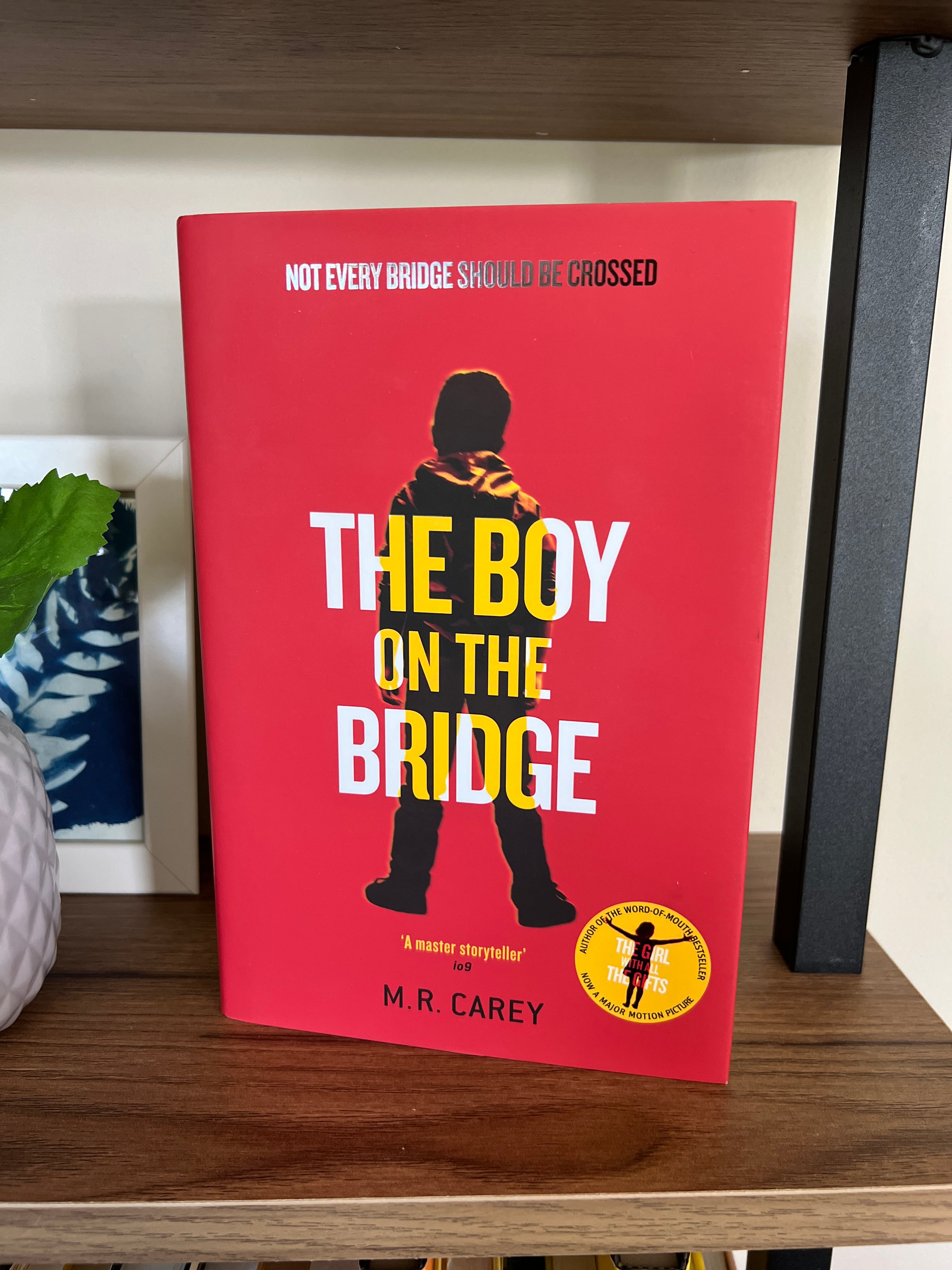 The Boy on the Bridge