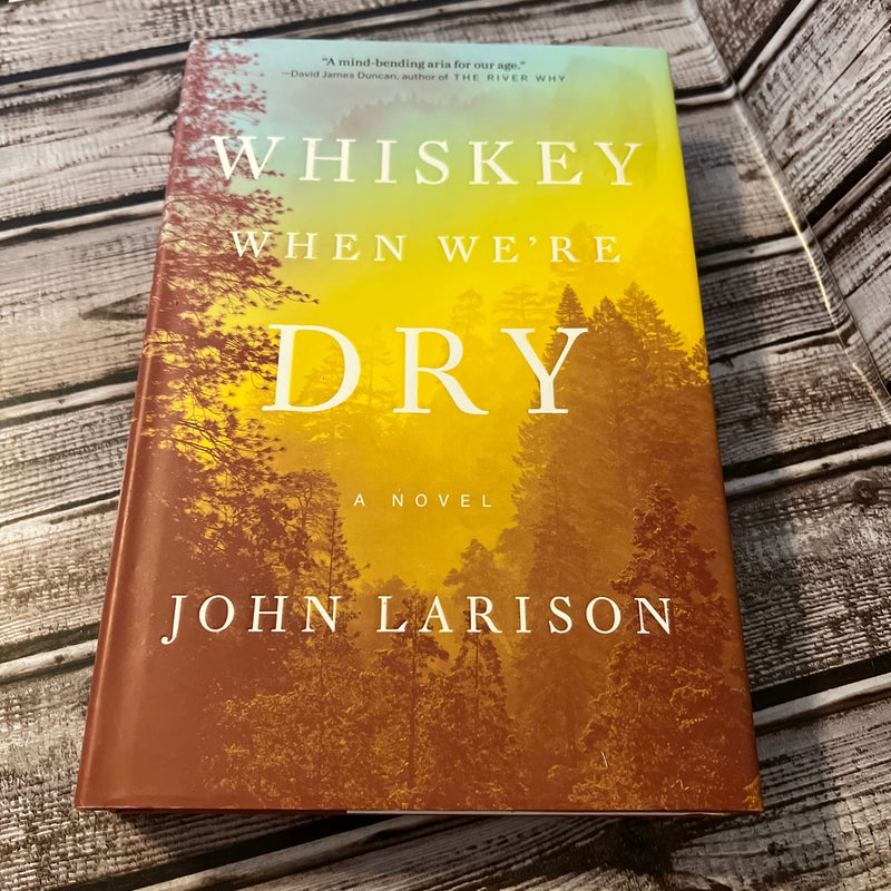 Whiskey When We're Dry