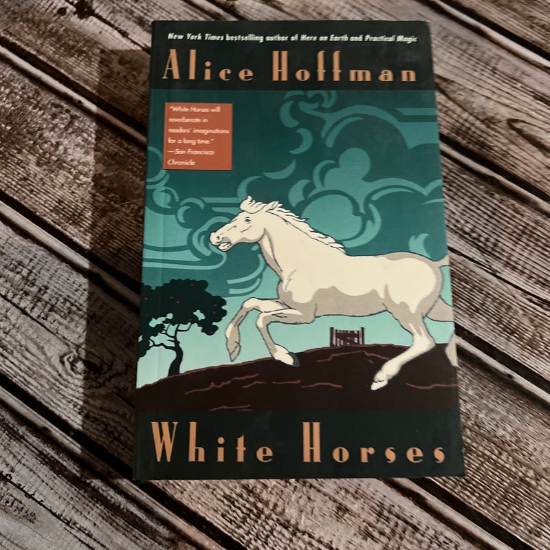 White Horses by Alice Hoffman, Paperback Pango Books