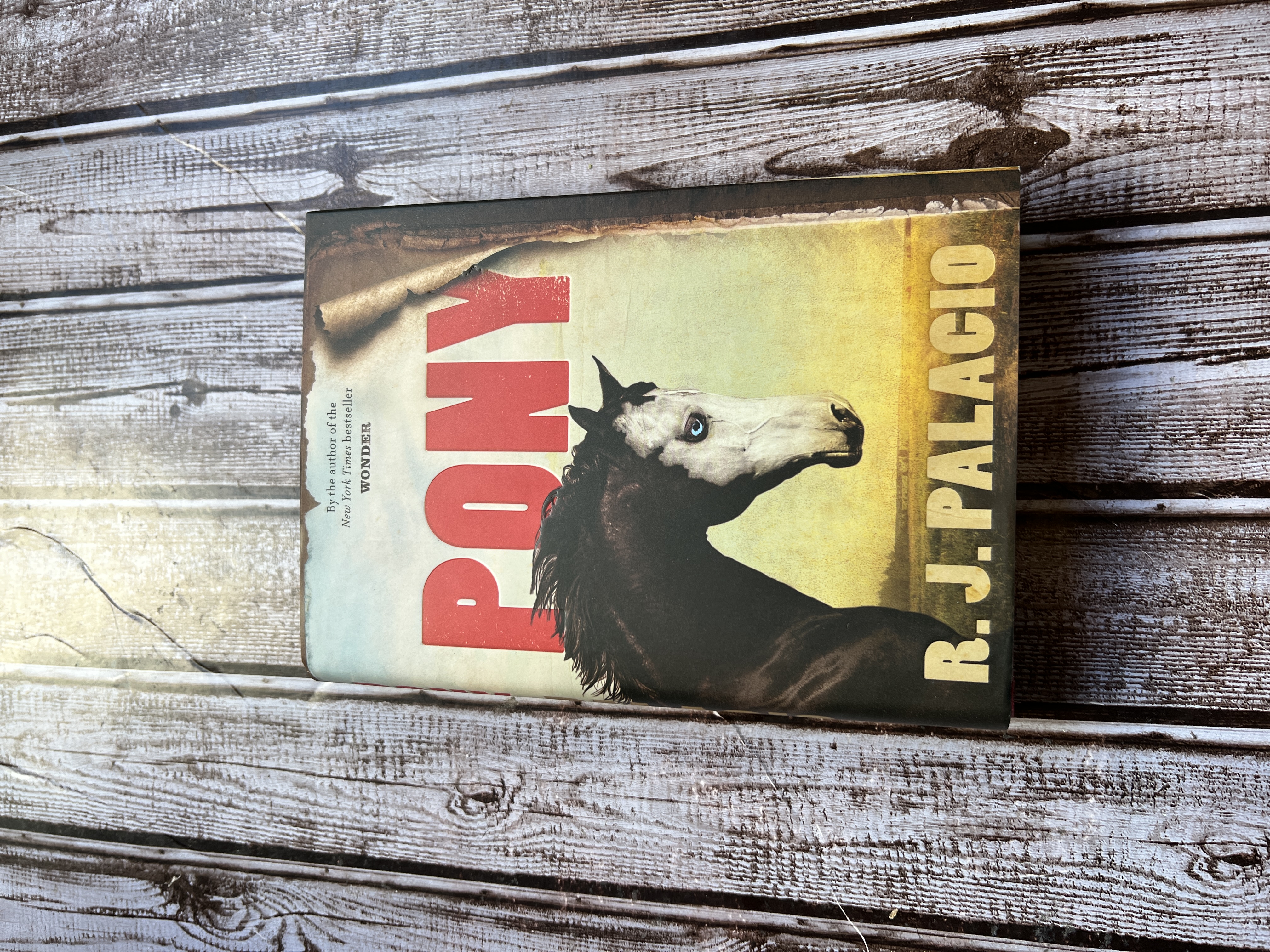 Sale image for fe9da45f-443e-4b85-ba57-9b660cffdab6-pCo9wXrjxaUx5fz1fko0McvqqOJ3