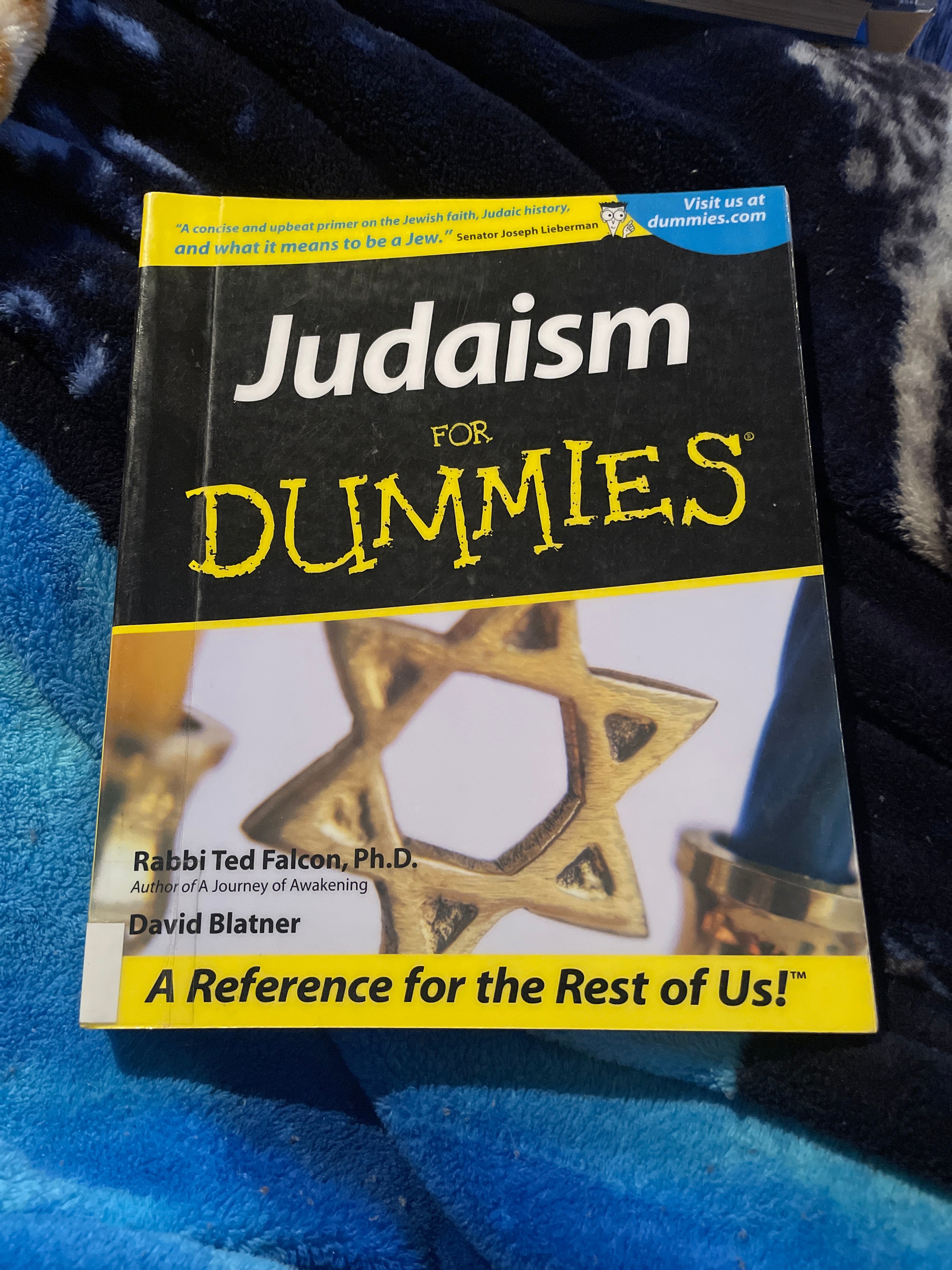 Judaism for Dummies