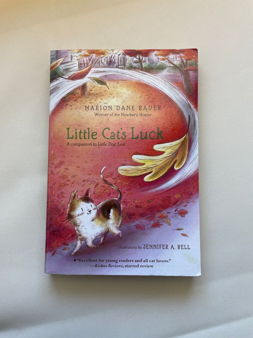 Little Cat's Luck
