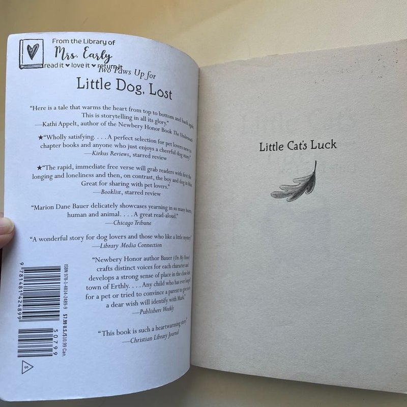 Little Cat's Luck
