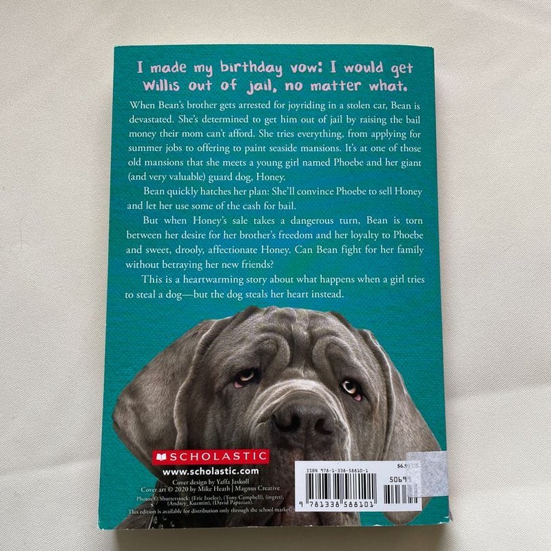 A Guard Dog Named Honey 