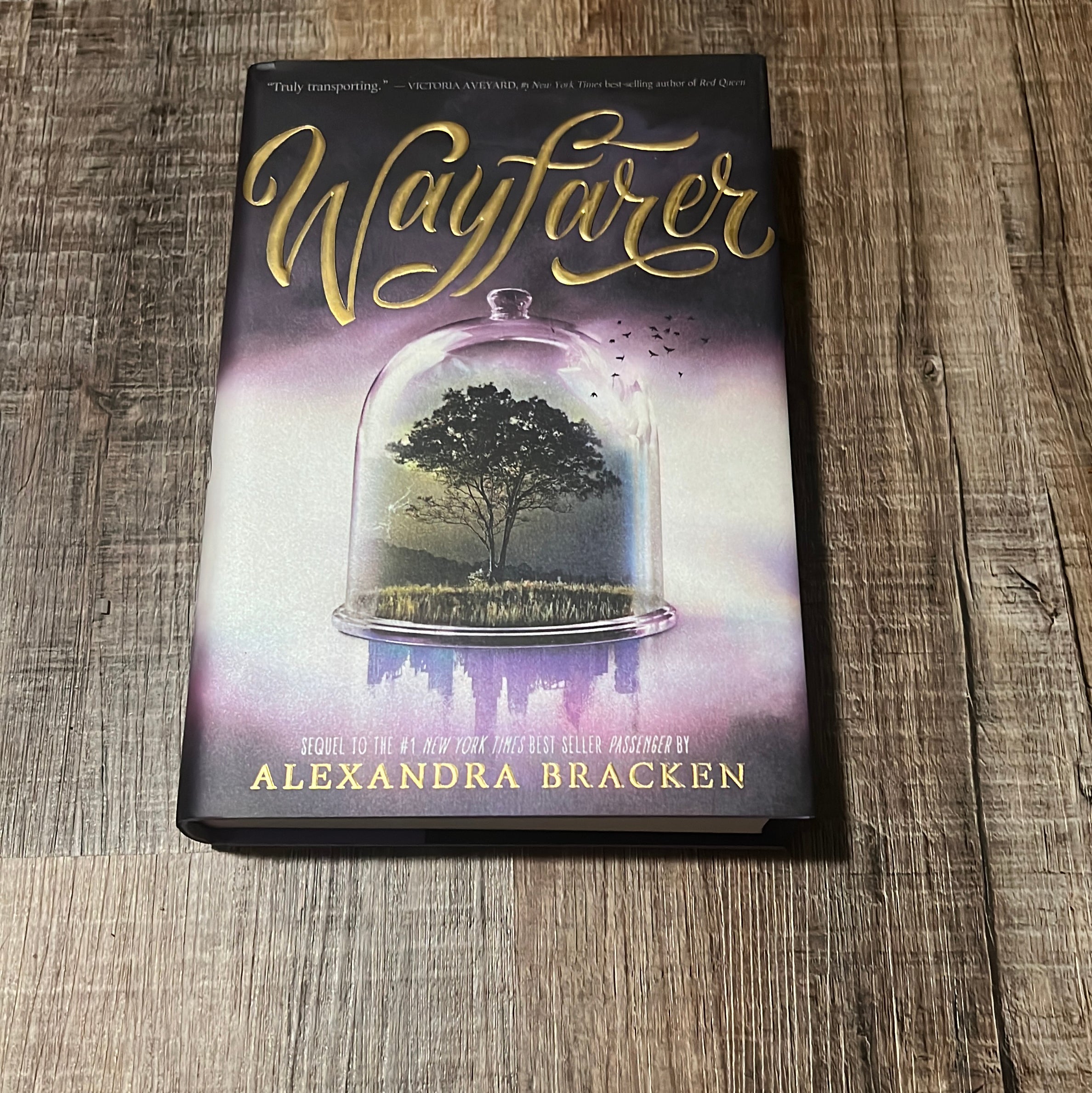 Wayfarer (a Passenger Novel, Book 2)